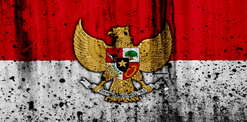 ویزا اندونزی 